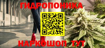МДПВ Шелехов