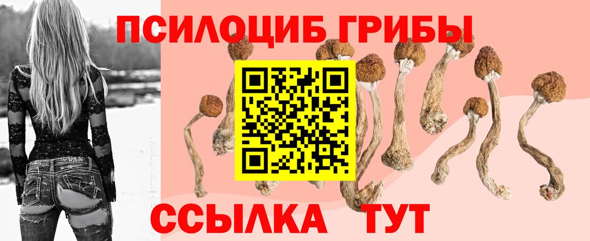 Галлюциногенные грибы мицелий Гусь-Хрустальный