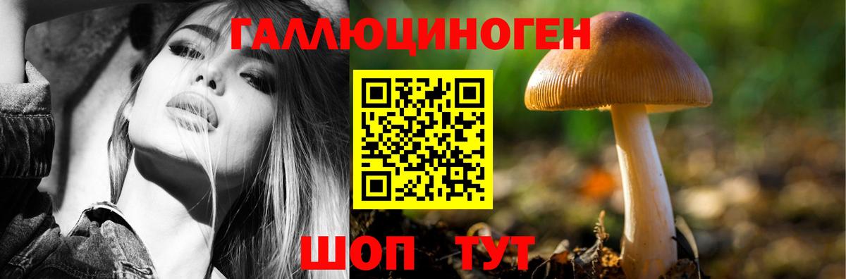 Псилоцибиновые грибы Psilocybe  Вход с VPN  Гусь-Хрустальный 